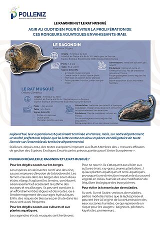 Agrandir l'image, .JPG 1 Mo (fenêtre modale)