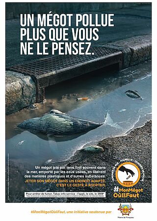 Agrandir l'image, .JPG 443 Ko (fenêtre modale)