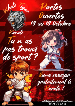 Agrandir l'image, .PNG 6 Mo (fenêtre modale)